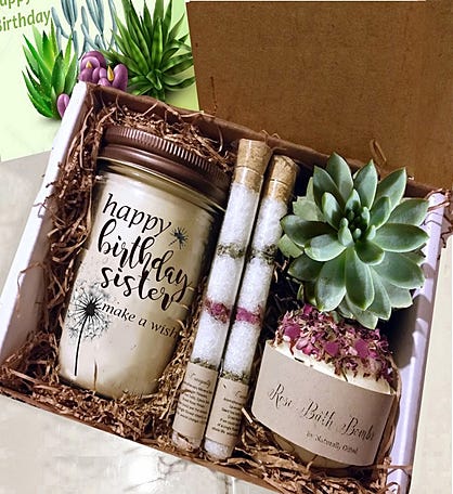 Sister Birthday Succulent Spa Gift Box
